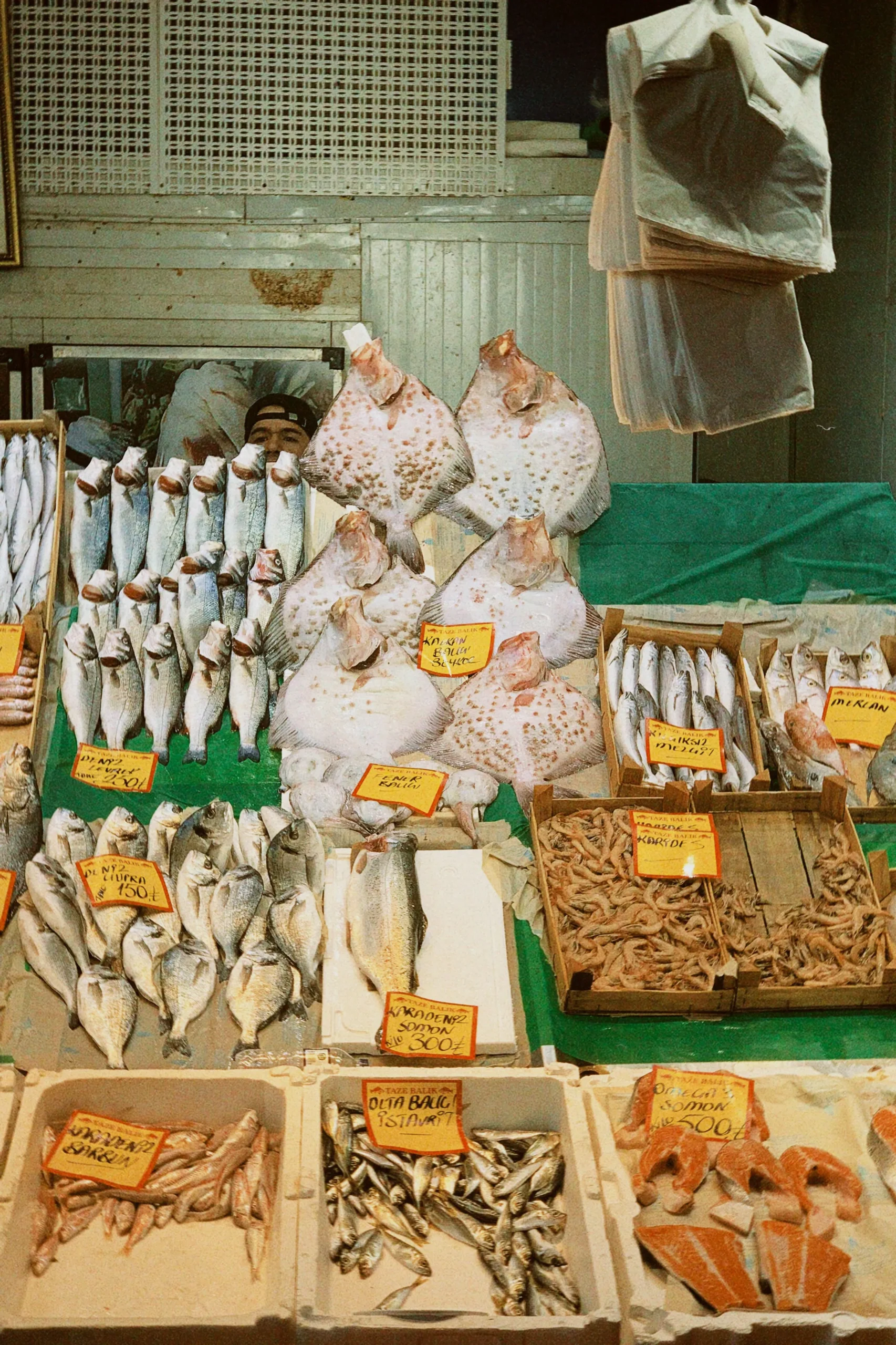 Pescaderia Mercado Municipal De Riba Roja Del Turia | PESCA AVENIDA